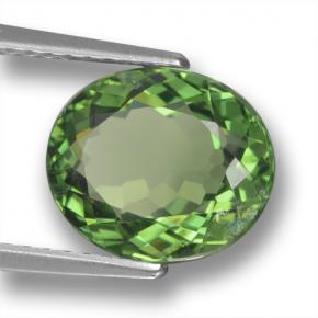 3.12カラットの天然ディープフォレストグリーンアパタイト（10.1×8.6 mm・オーバルカット）