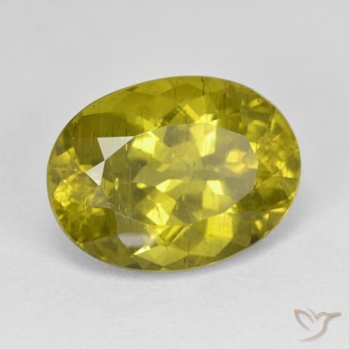 11.46カラットの天然Medium Golden Brownアパタイト、楕円形、VS