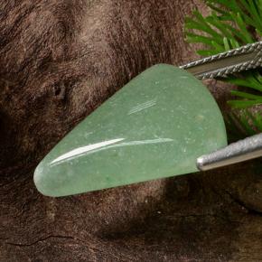 12.64カラットの天然グリーンアベンチュリン、トリリオン、半透明