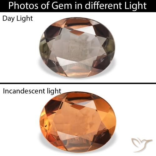1.68ct 天然 ダークブラウン アキシナイト, 楕円形, SI
