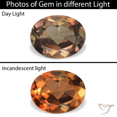 1.26ct 天然 ダークブラウン アキシナイト, 楕円形, SI