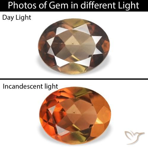 1.07ct 天然 ダークブラウン アキシナイト, 楕円形, SI