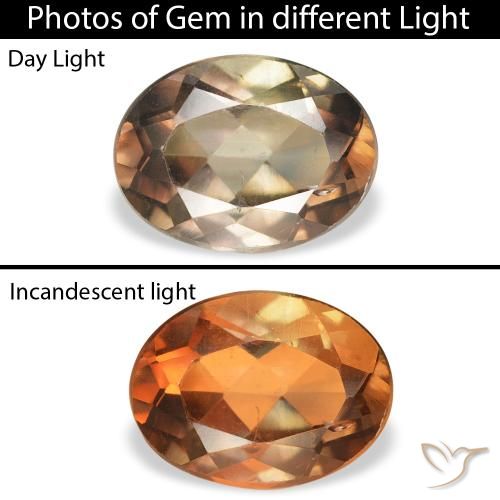 1.23ct 天然 ダークブラウン アキシナイト, 楕円形, SI