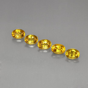 自然派の商品を探す ct イエローゴールデン ベリル 宝石, オーバルカット, ブラジル からGemSelectで. 在庫あり、世界各国へ発送!