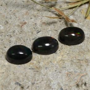 Shop natural 2.84ct マルチカラー ブラックオパール gems, 楕円形, from エチオピア at GemSelect. In stock, global shipping!