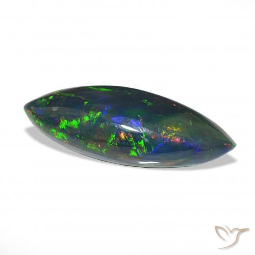 11.33カラットの天然マルチカラーブラックオパール、マーキーズ、オペーク