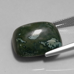 18.96カラットの天然斑点のある緑ブラッドストーン（17.8×15.2 mm・クッションカット）