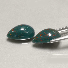 自然派の商品を探す ct グリーンの斑点 ブラッドストーン 宝石, 洋梨の形, マダガスカル からGemSelectで. 在庫あり、世界各国へ発送!