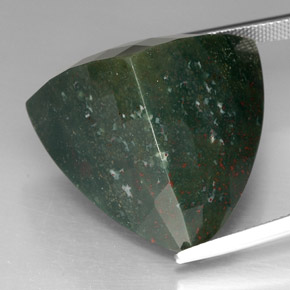 62.13カラットの天然斑点のある緑ブラッドストーン（26.6×26.2 mm・トリリアント）