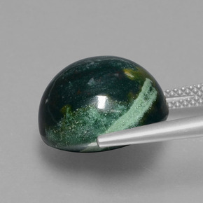 12.58カラットの天然グリーンの斑点ブラッドストーン、ラウンドカット、オペーク