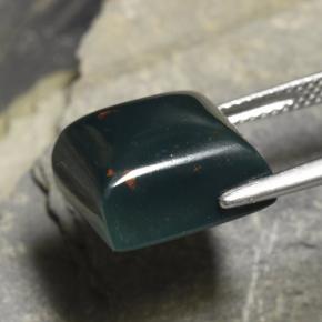 12.04カラットの天然斑点のある緑ブラッドストーン（12.7×12.1 mm・四角）