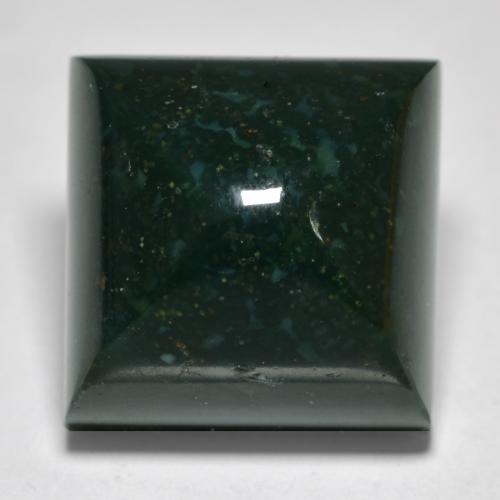 14.70カラットの天然フォレストグリーンブラッドストーン（12.9×13 mm・四角）