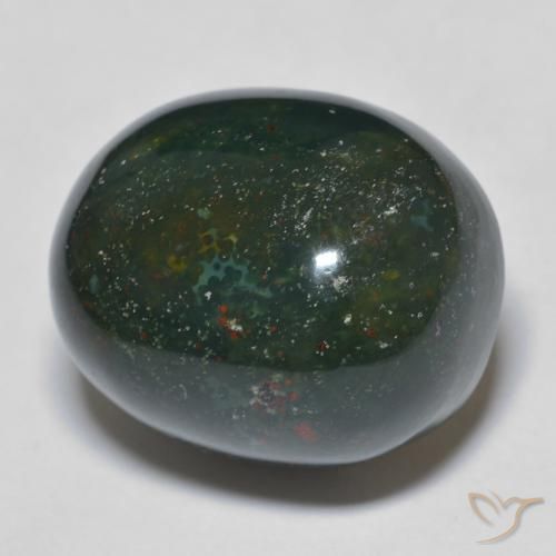 24.76ct 天然 ダークグリーン ブラッドストーン, 楕円形, オペーク