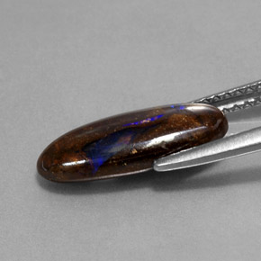 2.81カラットの天然マルチカラーボルダーオパール（14.6×6 mm・オーバルカット）