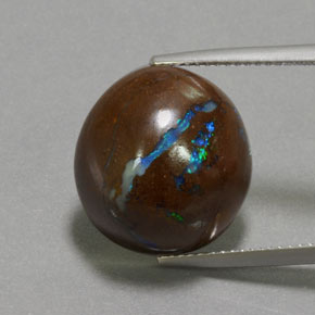 14.85カラットの天然マルチカラーボルダーオパール（15.9×15 mm・ファンシーシェイプ）