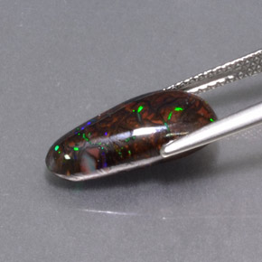 4.97カラットの天然マルチカラーボルダーオパール（15.5×7.8 mm・ファンシーシェイプ）