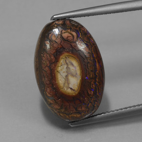 12.77カラットの天然マルチカラーボルダーオパール、オーバルカット、オペーク