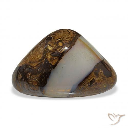 16.35ct マルチカラー ボルダーオパール, トリリオン, 半透明