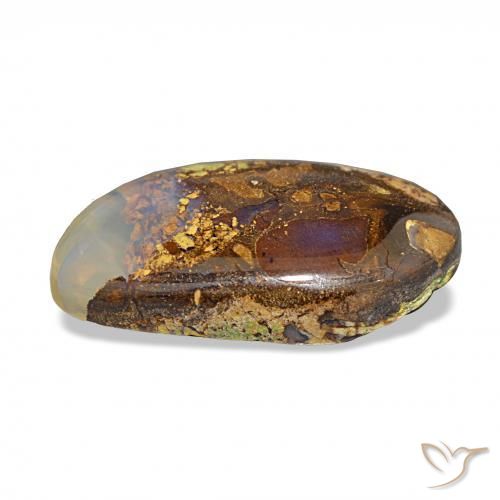 6.91カラットの天然マルチカラーボルダーオパール、ファンシー、オペーク