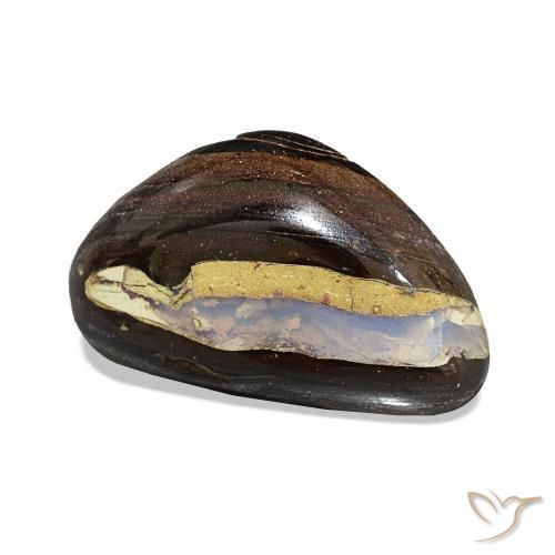 5.44カラットの天然マルチカラーボルダーオパール、ファンシー、オペーク