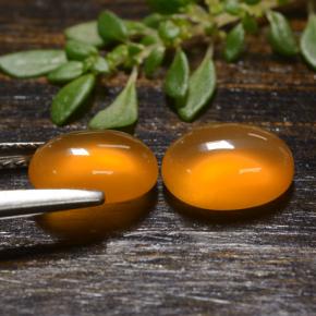 自然派の商品を探す 2.65ct オレンジ カーネリアン 宝石, オーバルカット, インド からGemSelectで. 在庫あり、世界各国へ発送!