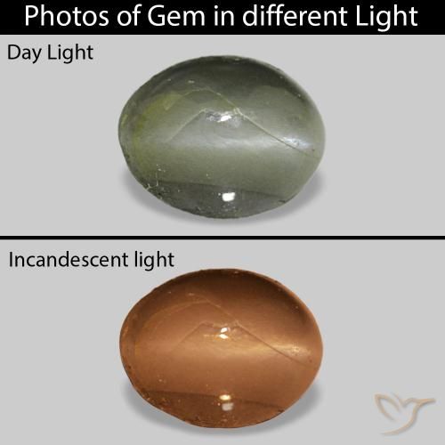 0.71カラットの天然ミディアムグリーンCat's Eye Alexandrite、楕円形、オペーク