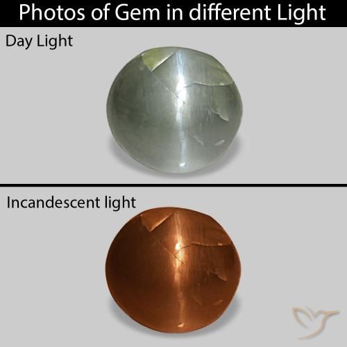 0.51カラットの天然グレーグリーンCat's Eye Alexandrite、楕円形、オペーク