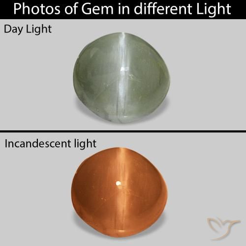 0.60カラットの天然ミディアムグリーンCat's Eye Alexandrite、楕円形、オペーク