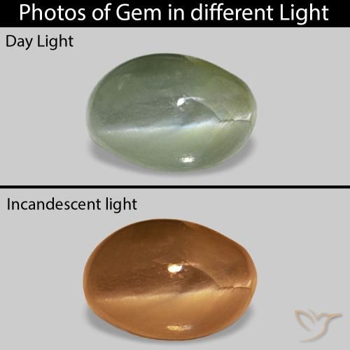 0.62ct ミディアムグリーン Cat's Eye Alexandrite, 楕円形, オペーク