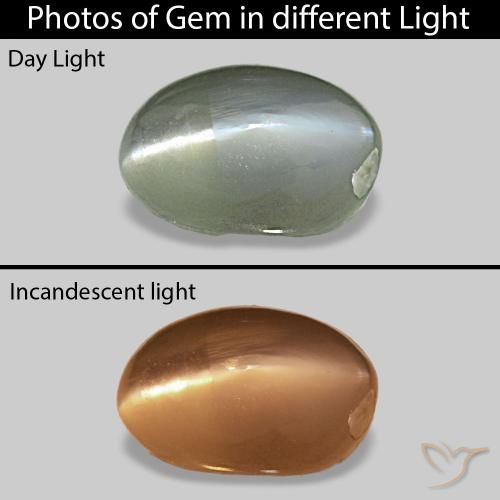 0.71ct ミディアムグリーン Cat's Eye Alexandrite, 楕円形, オペーク