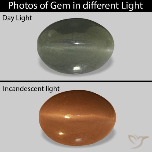 0.61ct ミディアムグリーン Cat's Eye Alexandrite, 楕円形, オペーク