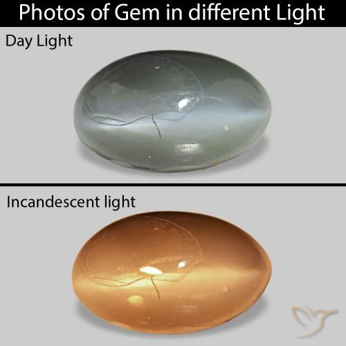 0.71ct ミディアムグレー Cat's Eye Alexandrite, 楕円形, オペーク