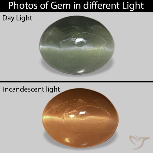 0.62ct 薄いフォレストグリーン Cat's Eye Alexandrite, 楕円形, オペーク