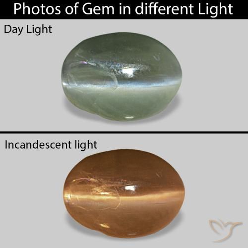 0.68ct ミディアムグリーン Cat's Eye Alexandrite, 楕円形, オペーク