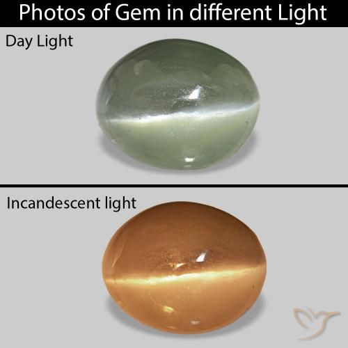 0.70カラットの天然グレーグリーンCat's Eye Alexandrite、楕円形、オペーク