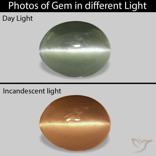 0.49ct グレーグリーン Cat's Eye Alexandrite, 楕円形, オペーク