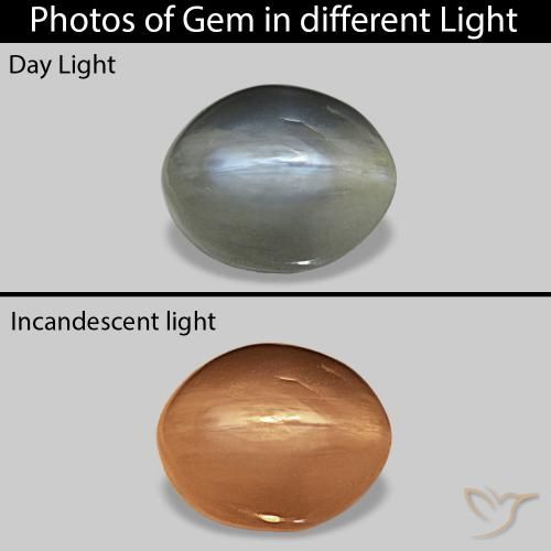 0.72ct ミディアムグレー Cat's Eye Alexandrite, 楕円形, オペーク