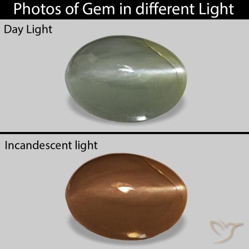 0.56ct ミディアムグリーン Cat's Eye Alexandrite, 楕円形, オペーク