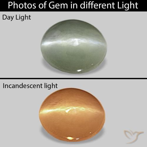 0.56ct ミディアムグリーン Cat's Eye Alexandrite, 楕円形, オペーク