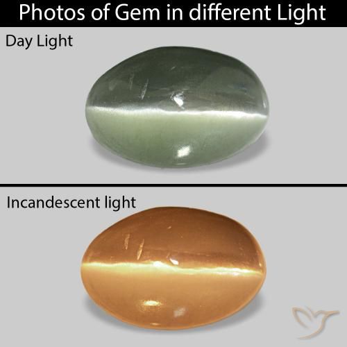 0.73ct グレーグリーン Cat's Eye Alexandrite, 楕円形, オペーク