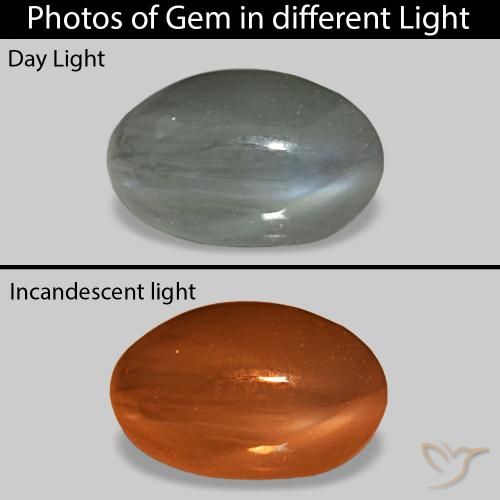 0.92ct ミディアムグレー Cat's Eye Alexandrite, 楕円形, オペーク