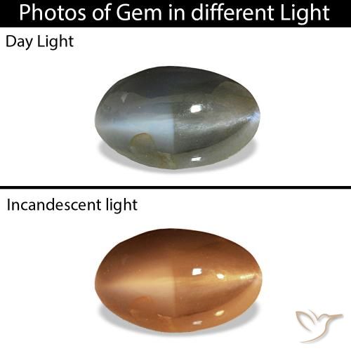 0.51ct 薄い緑がかった灰色 Cat's Eye Alexandrite, 楕円形, オペーク