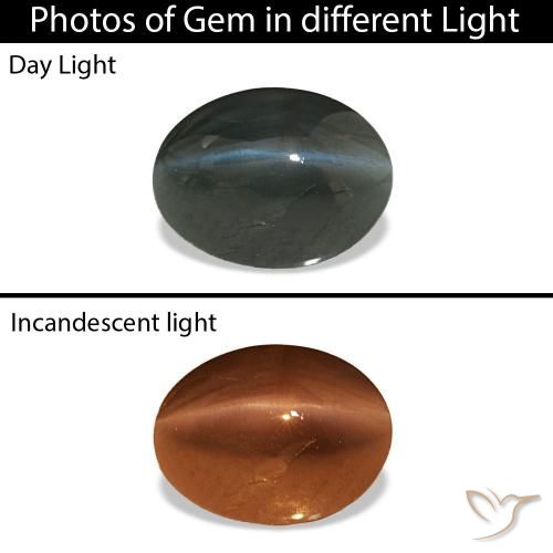 0.96ct スチールグレー Cat's Eye Alexandrite, 楕円形, オペーク