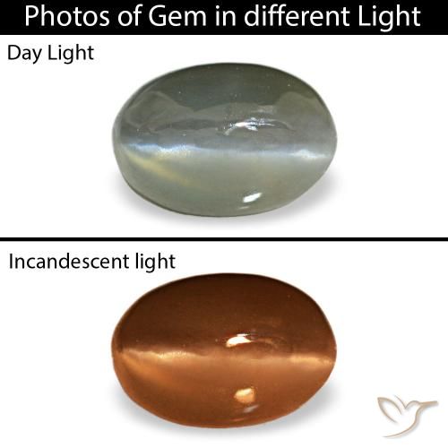 0.50ct グレー Cat's Eye Alexandrite, 楕円形, オペーク