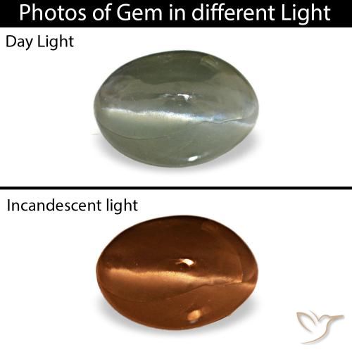 0.49ct グレー Cat's Eye Alexandrite, 楕円形, オペーク