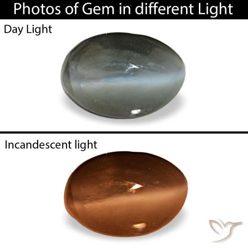 0.56ct グレー Cat's Eye Alexandrite, 楕円形, オペーク