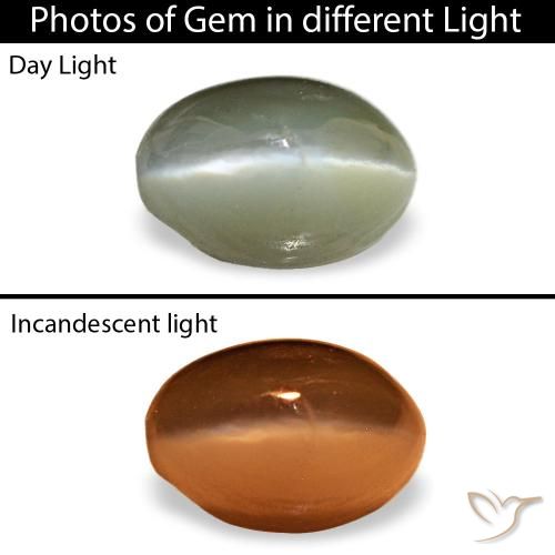 0.59カラットの天然グレーグリーンCat's Eye Alexandrite（5.2×3.6 mm・オーバルカット）