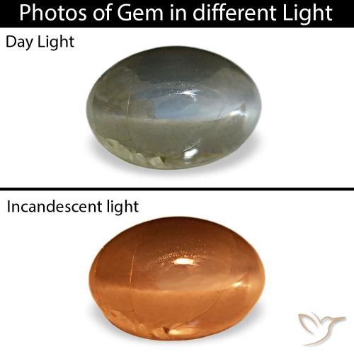 0.51カラットの天然グレーグリーンCat's Eye Alexandrite（5.5×3.7 mm・オーバルカット）