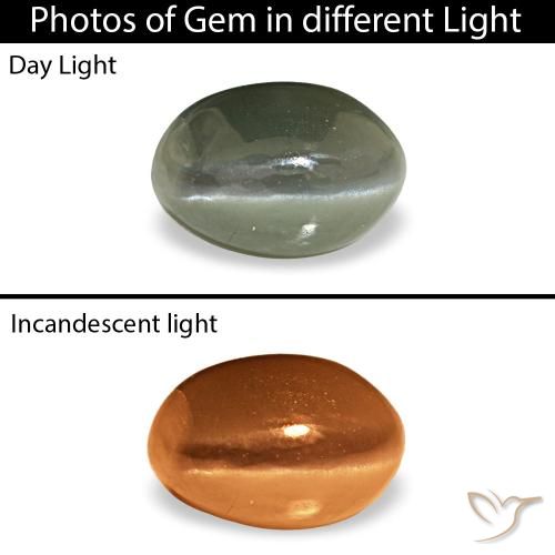 0.53カラットの天然グレーグリーンCat's Eye Alexandrite（5.2×3.6 mm・オーバルカット）