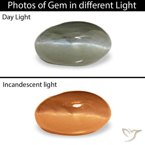 0.50カラットの天然ミディアムグリーンCat's Eye Alexandrite（5.4×3.1 mm・オーバルカット）